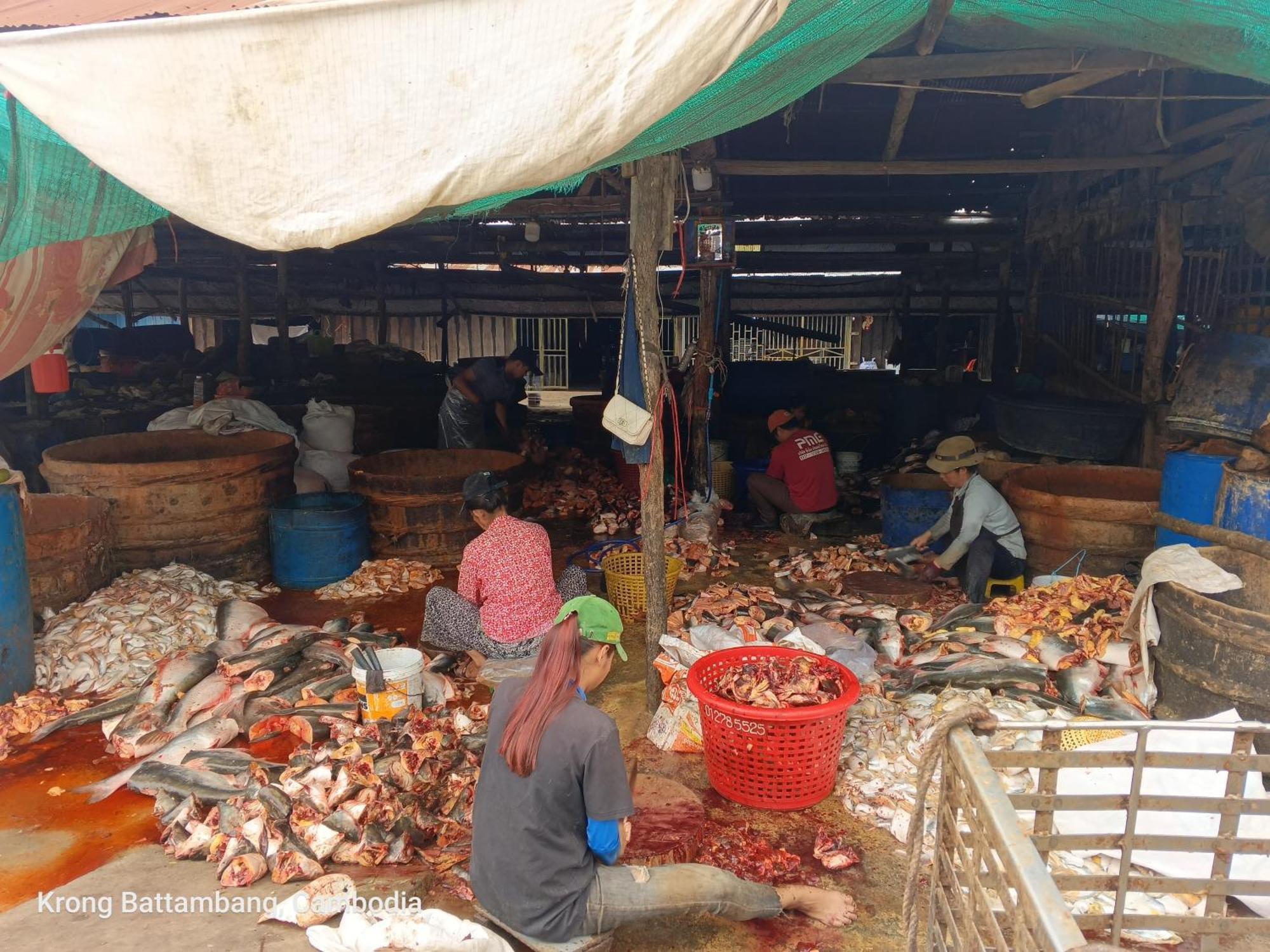 Family Batcave Homestay Battambang Luaran gambar